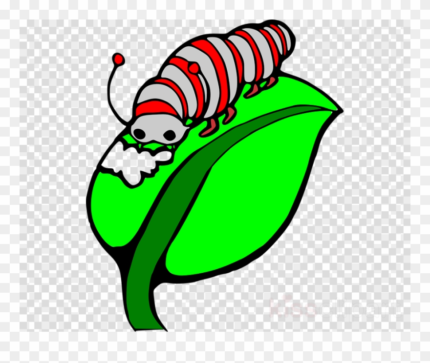 Caterpillar Eating Clipart The Very Hungry Caterpillar.