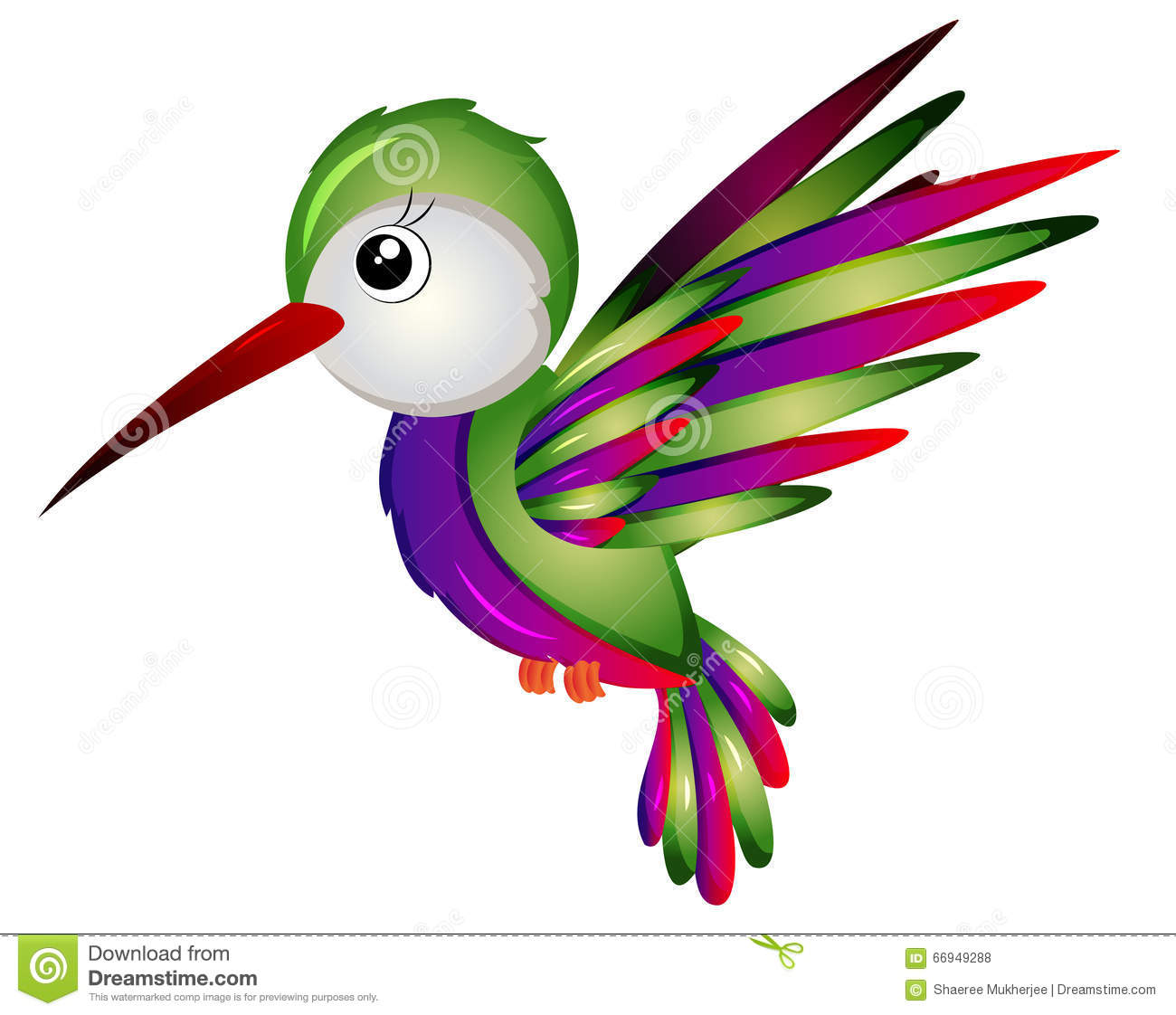 Showing post & media for Hummingbird bird cartoon.