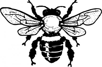 Free Honey Bee Art, Download Free Clip Art, Free Clip Art on.
