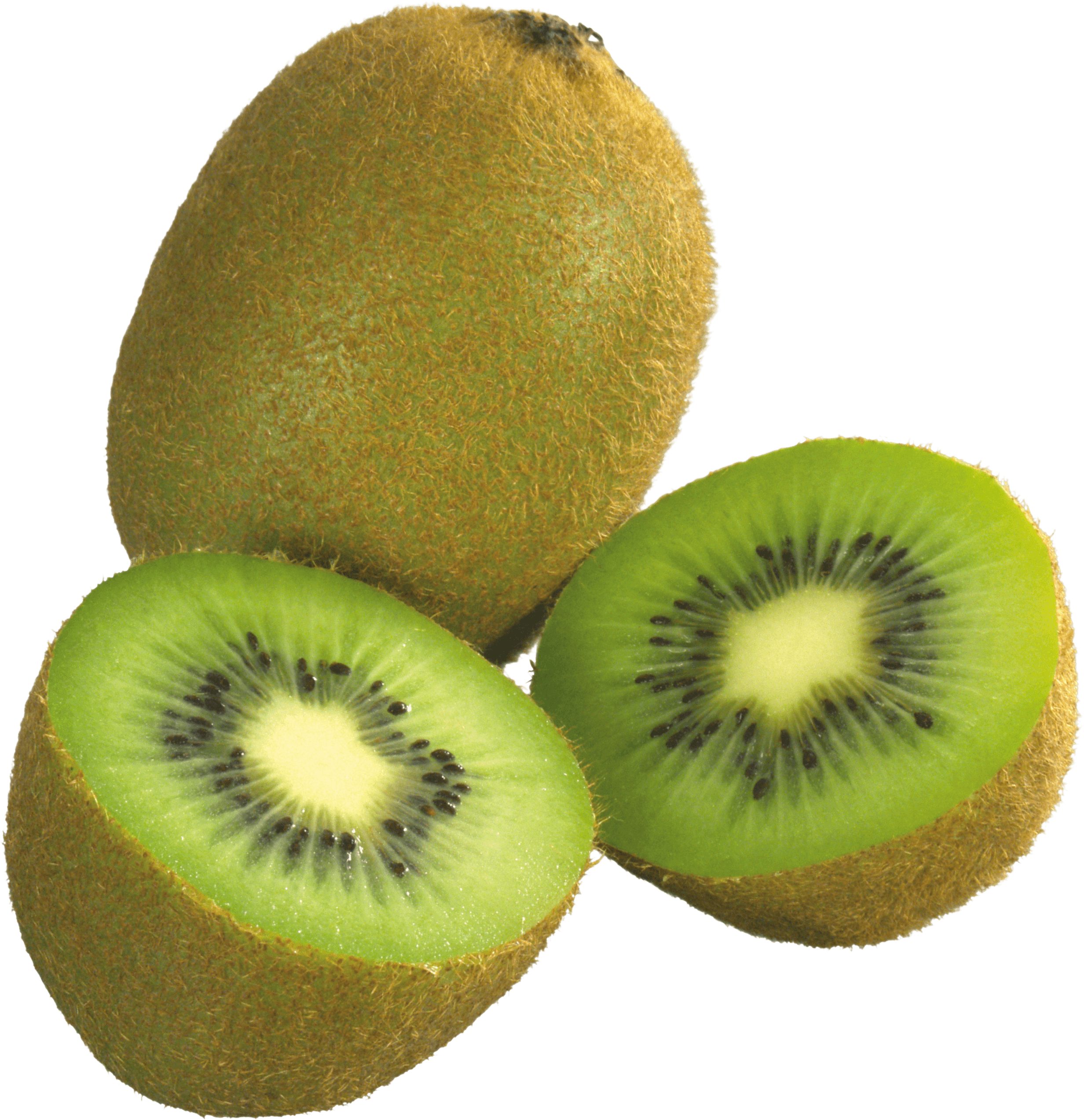 Kiwifruit Clip art.