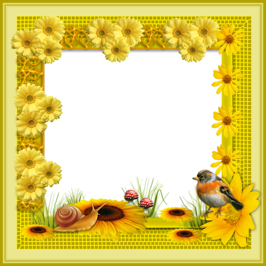 Still Life Frame clipart.