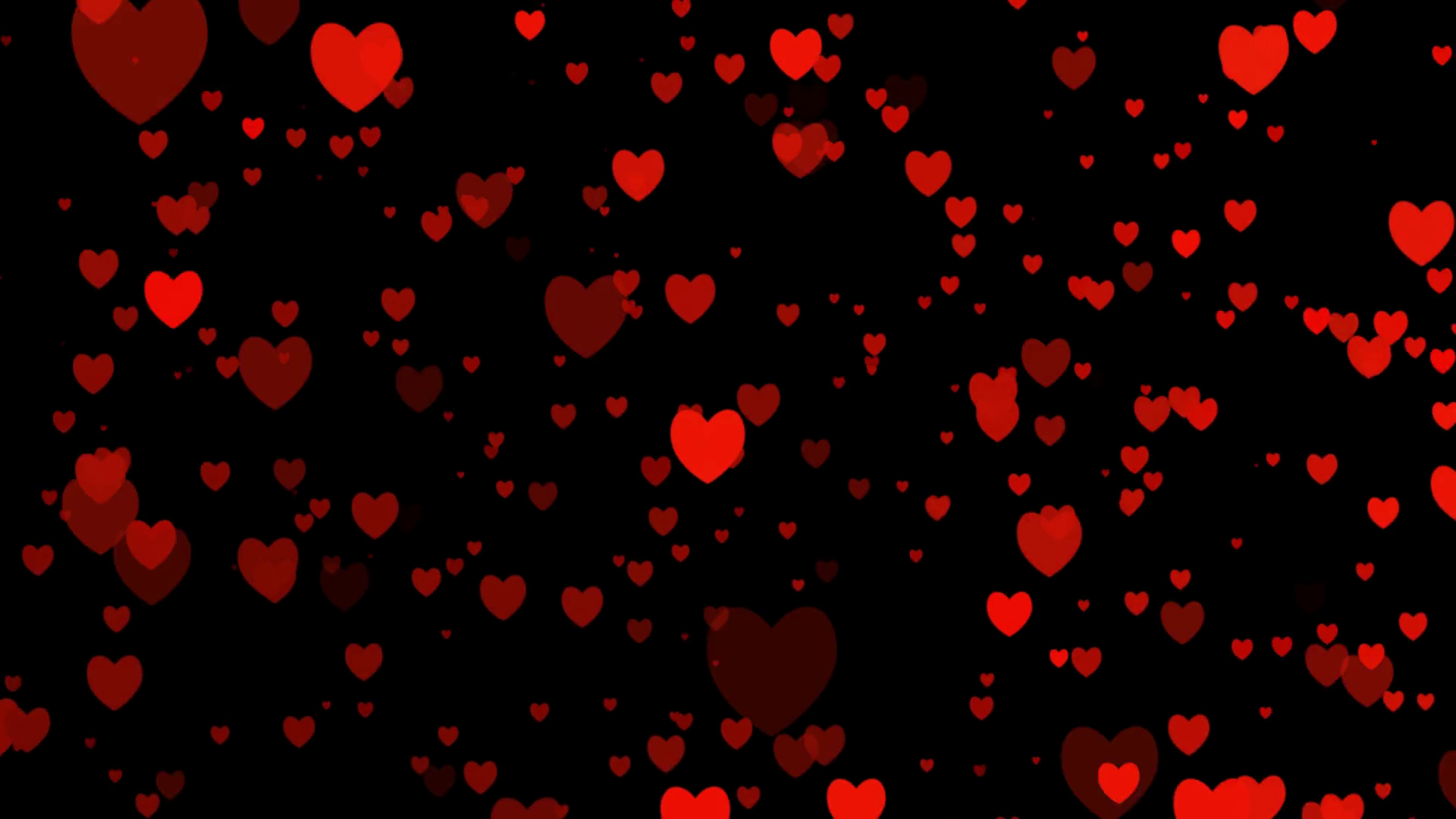 Heart video for valentines day for love appears on black background  animated of your feeling. Alpha channel. Heart animation flat icons with.