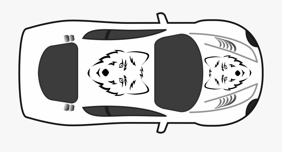 Wolf Paint Job On Car Top View Clip Art Transparent.