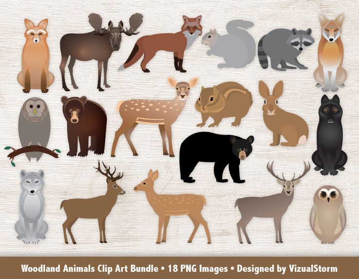 17 Best ideas about Wolf Clipart on Pinterest.