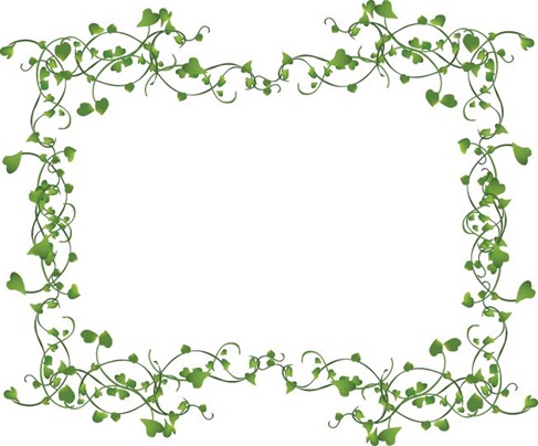 27+ Vine Border Clipart.