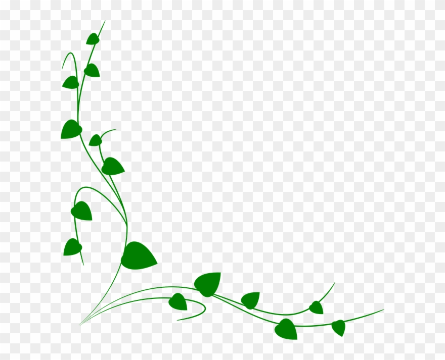 Vine Border Clipart (#881896).