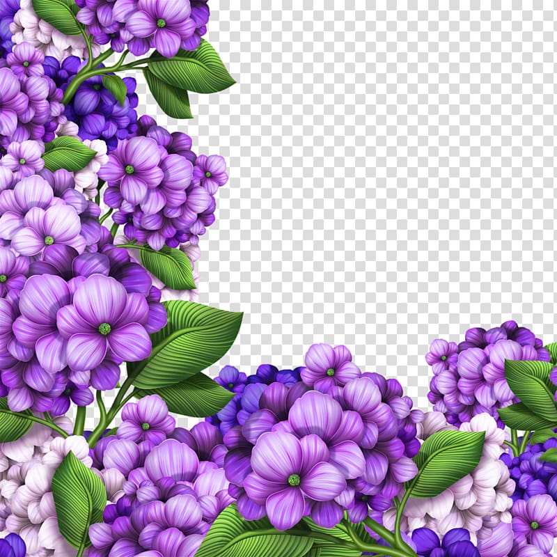 Purple petaled flowers illustration, Hydrangea Flower.