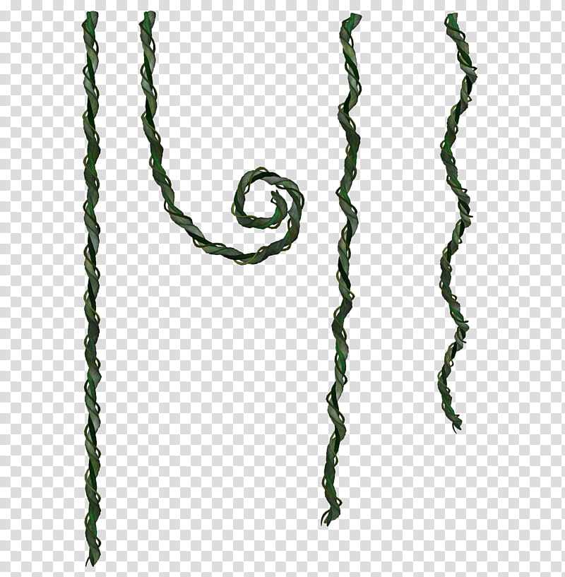 Vines, green rope transparent background PNG clipart.