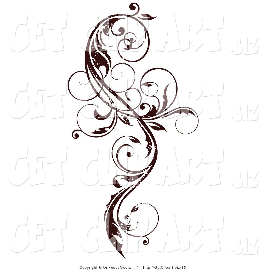 Curly Vine Scroll Design.