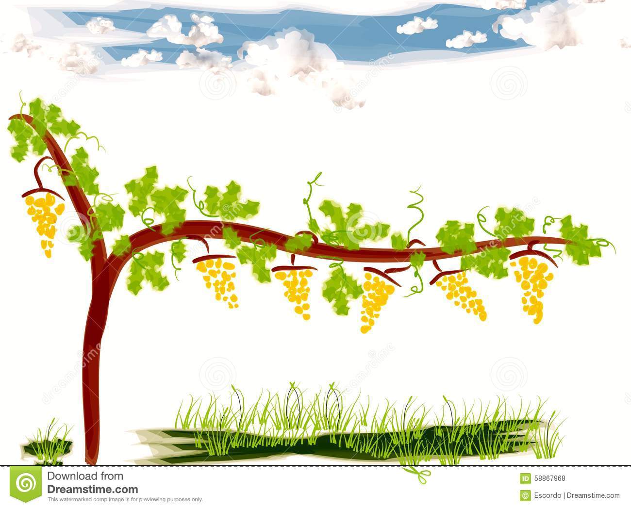 Vineyard clipart.