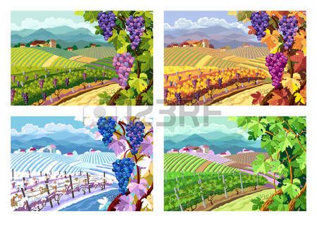 7,361 Vineyard Stock Illustrations, Cliparts And Royalty.