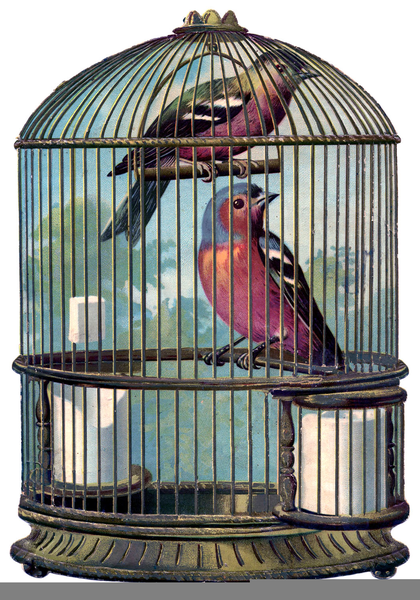 Free Vintage Bird Cage Clipart.