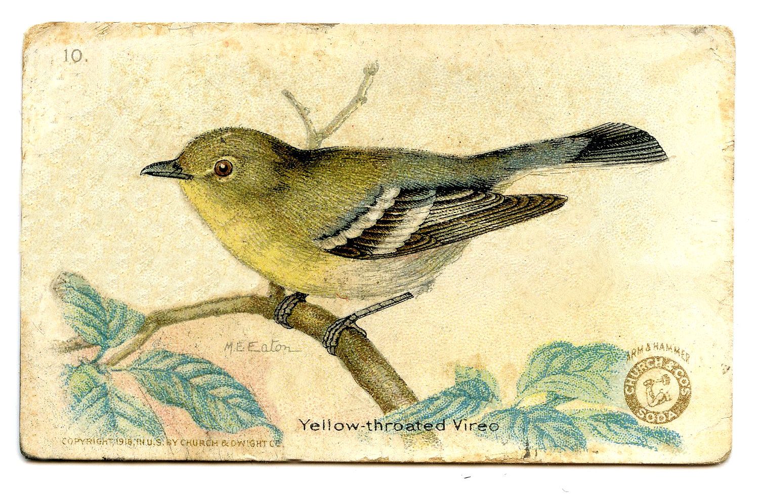 Vintage Bird Clip Art Free.