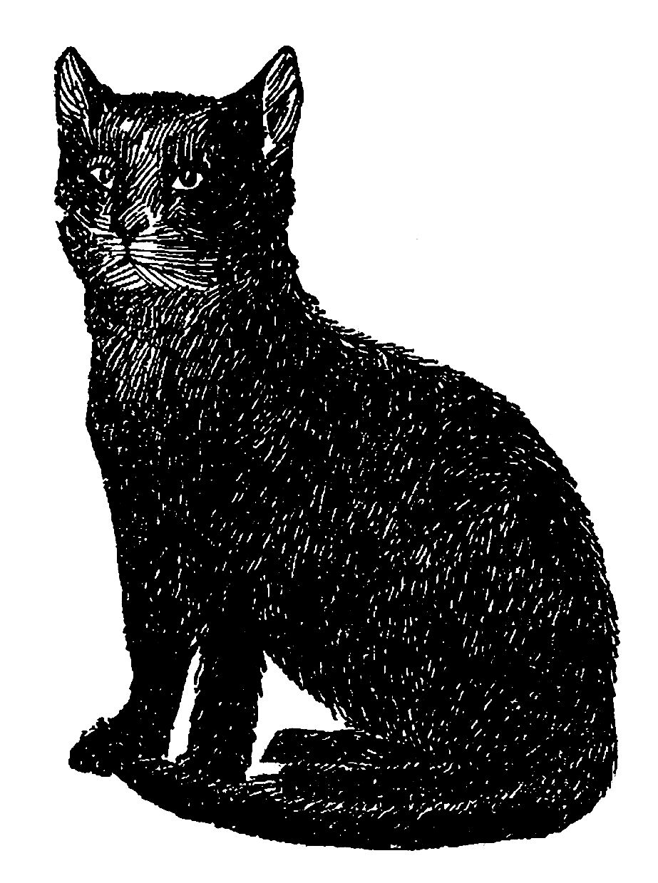 vintage black cat clipart 10 free Cliparts | Download images on