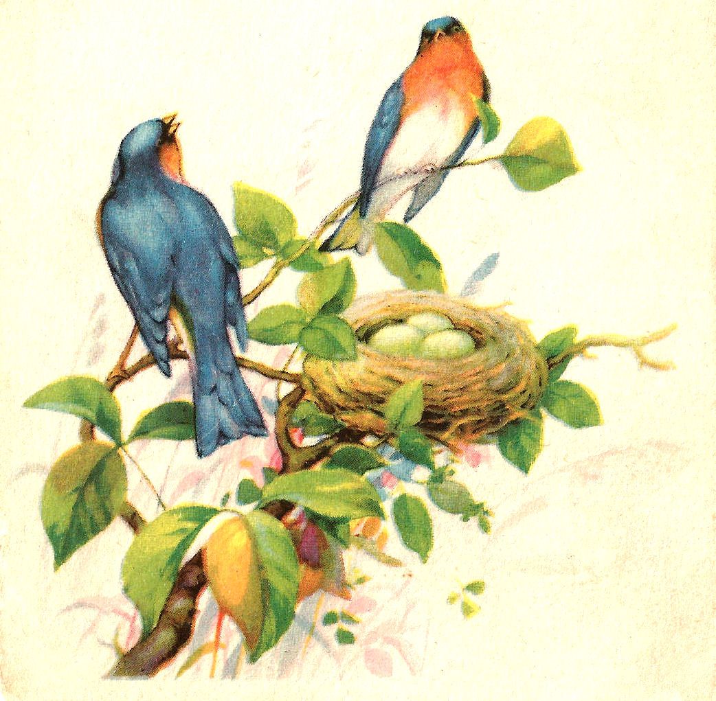 Vintage Bird Clipart.