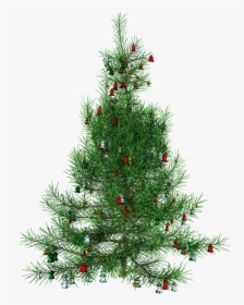 Christmas Tree Gif.