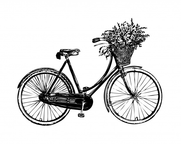 Bicycle Flowers Vintage Clipart Free Stock Photo.