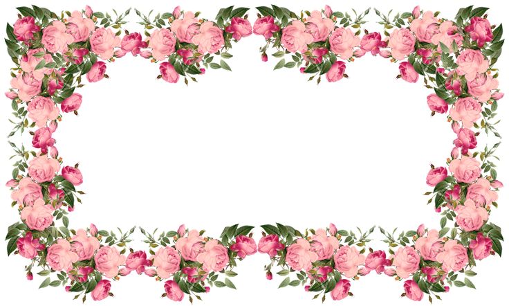 Free Flower Border Png, Download Free Clip Art, Free Clip.