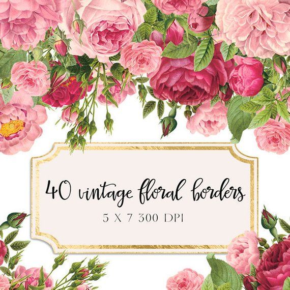 Vintage Floral Borders Clipart Shabby Chic Clipart.