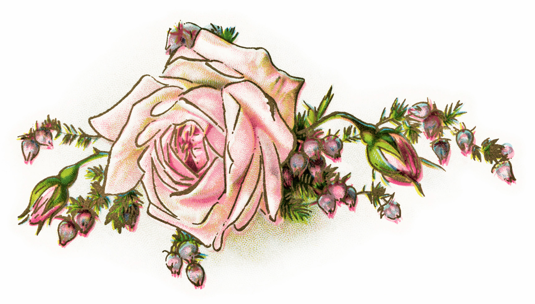 Free Vintage Flower Cliparts, Download Free Clip Art, Free.