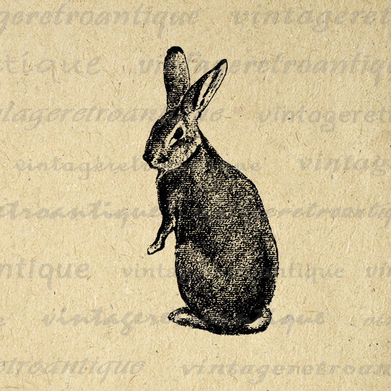 Vintage Rabbit Clipart.