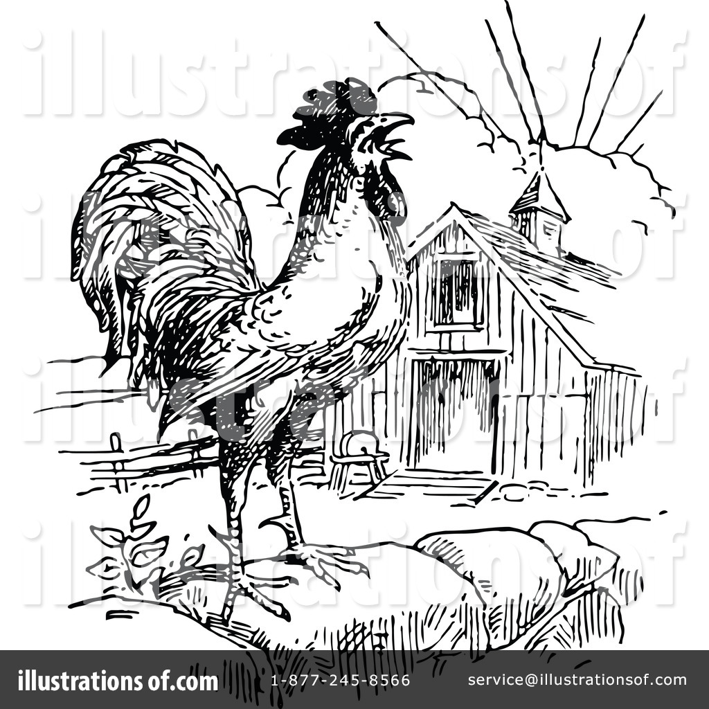 2318 Rooster free clipart.