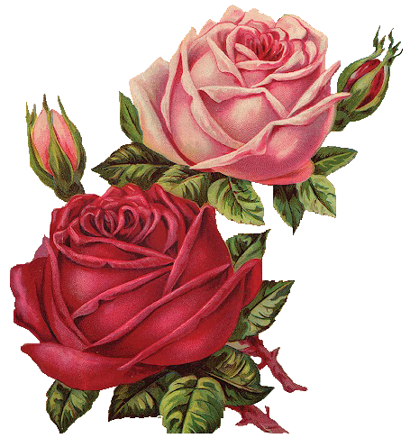 Free Vintage Roses Images, Download Free Clip Art, Free Clip.