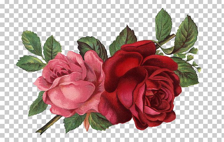 vintage roses png 10 free Cliparts | Download images on Clipground 2021