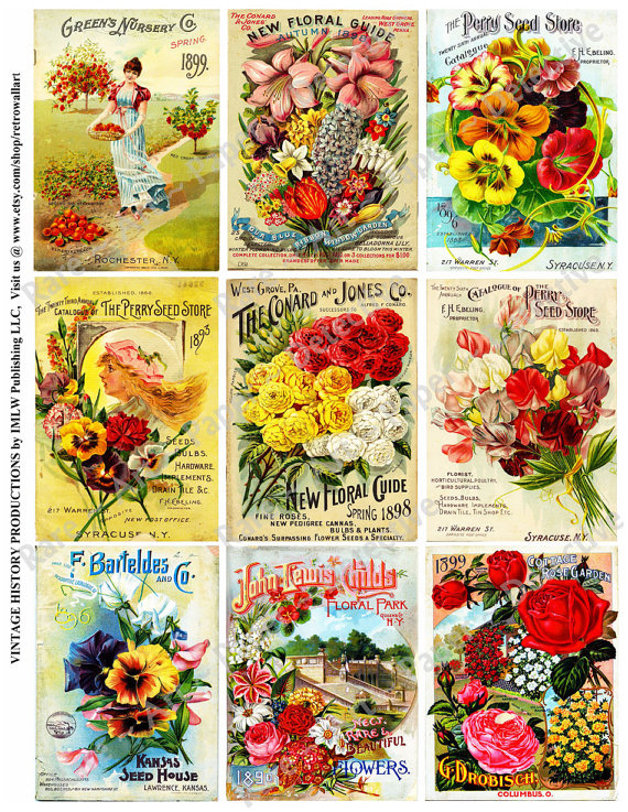 free-vintage-seed-packet-printables