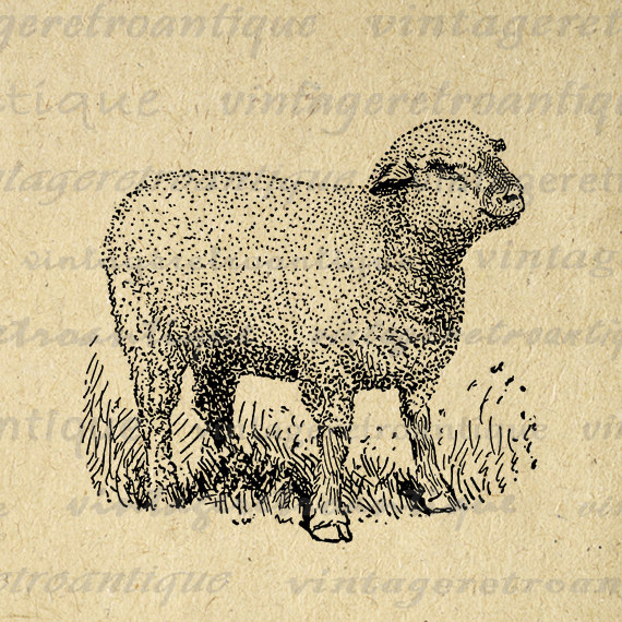 Little Hampshire Sheep Graphic Image Download Cute Lamb Printable.