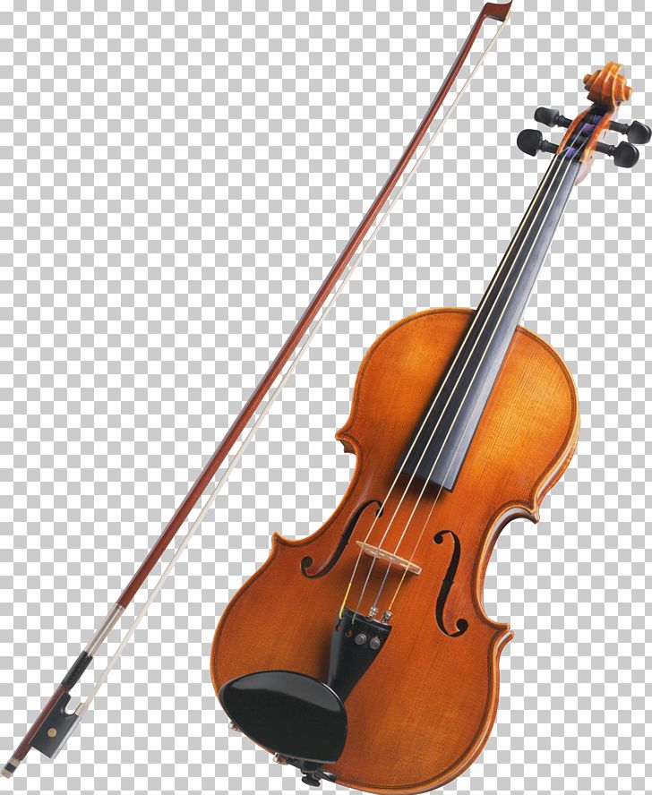 String Instrument Musical Instrument Violin Viola PNG, Clipart.