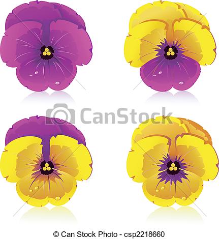Vector Clipart of Viola, flowers, isolated on white, vector, eps 8.