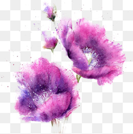 Purple Flowers PNG Images.
