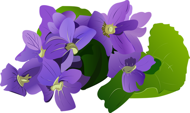 Violet plant clipart 20 free Cliparts | Download images on Clipground 2022