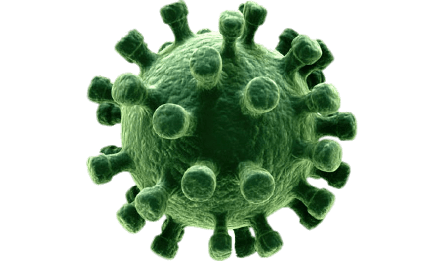 virus png 10 free Cliparts | Download images on Clipground 2021