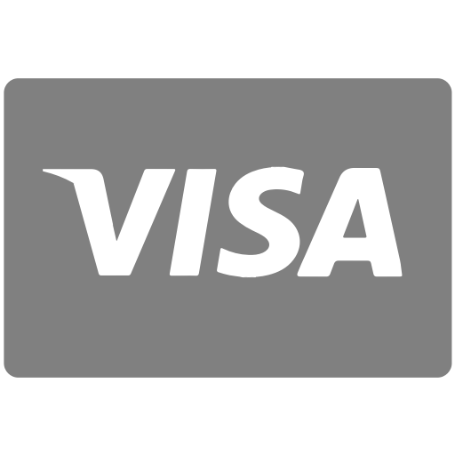 Methods, payment, visa icon.