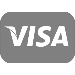 Gray visa icon.