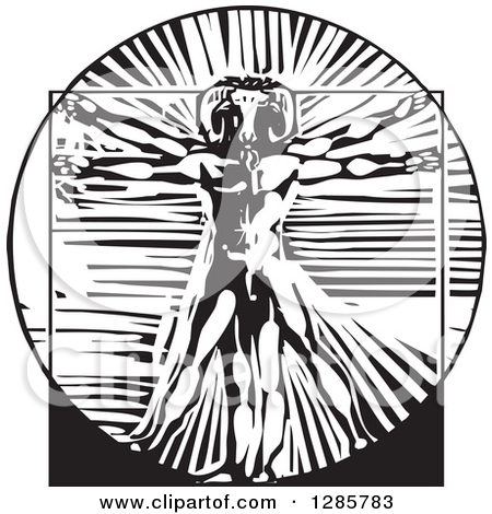 Clipart of a 3d Vitruvian Man with Exposed Muscles on One Side and.