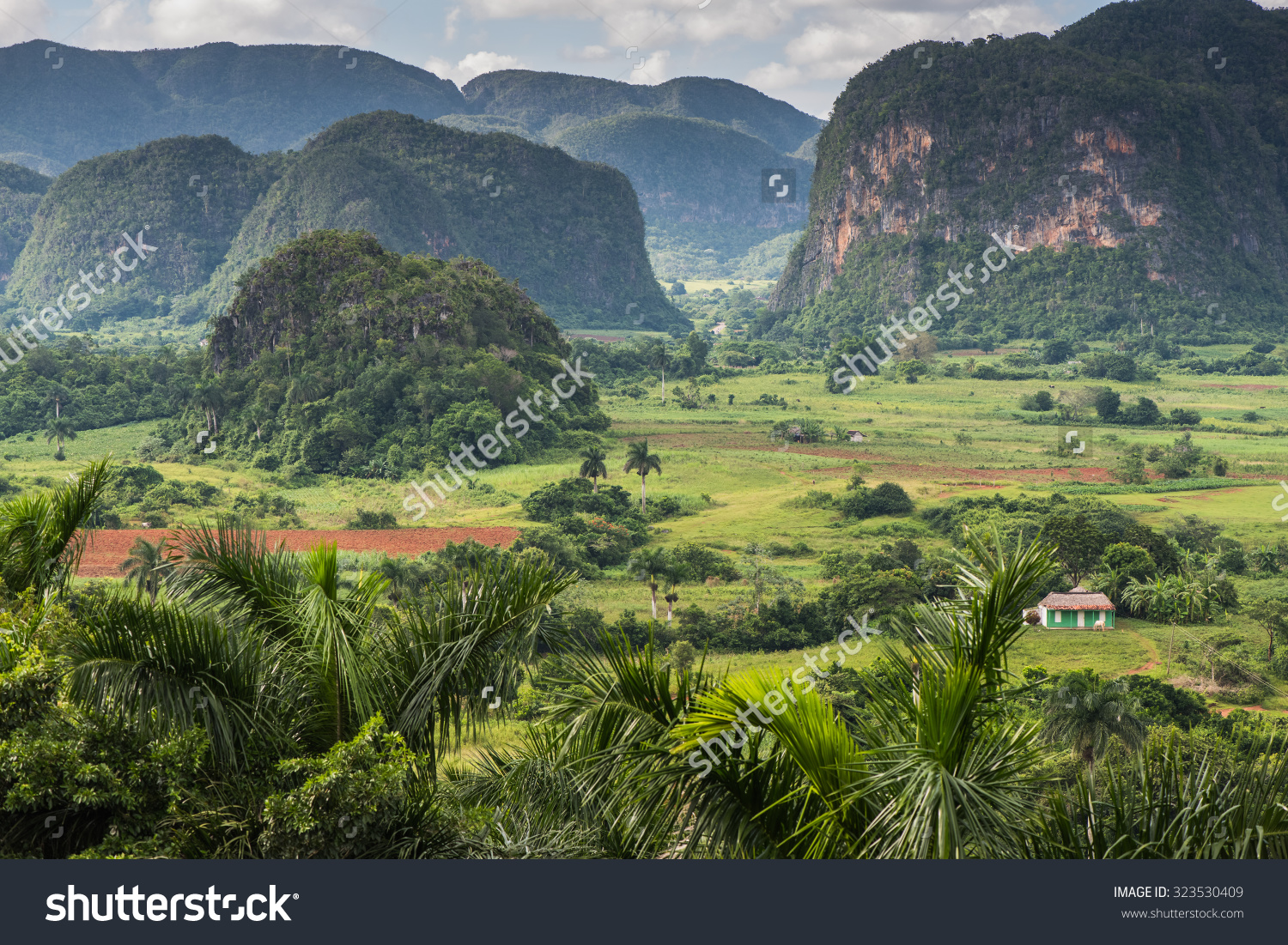 Panoramic View Over Landscape Mogotes Vinales Stock Photo.