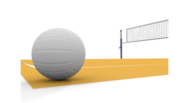 Volleyball court.