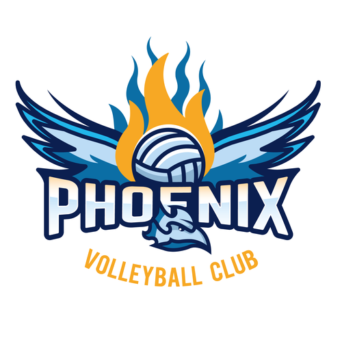 Volleyball logos: the best volleyball logo images.