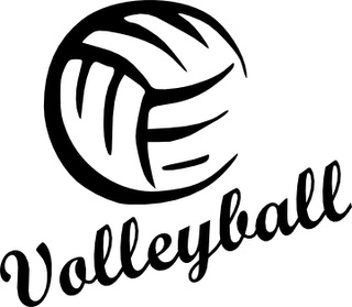 volleyball outline distorted clipart 20 free Cliparts | Download images ...