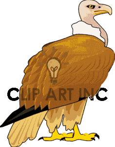 Vulture Clipart.