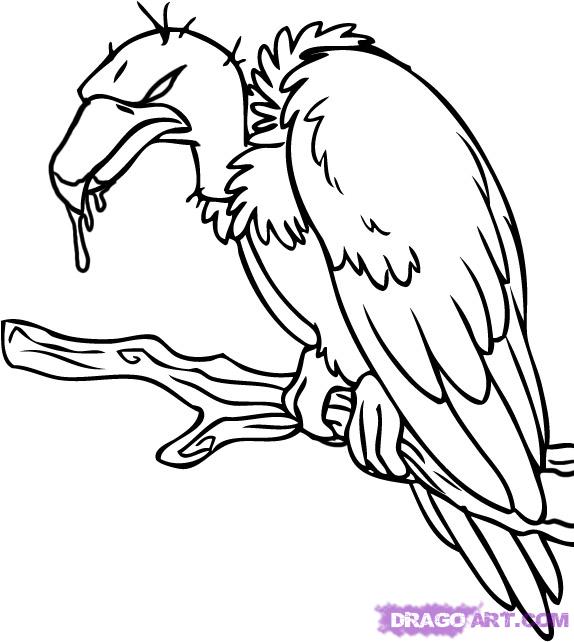 Free Vulture Clipart Black And White, Download Free Clip Art.