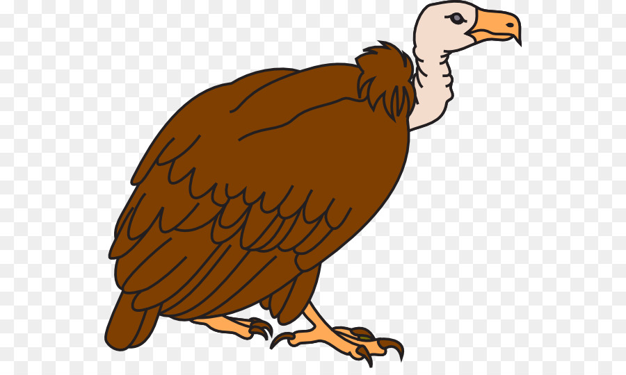 Eagle Drawing png download.