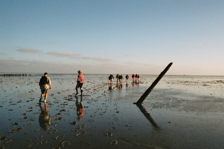 Wadlopen.