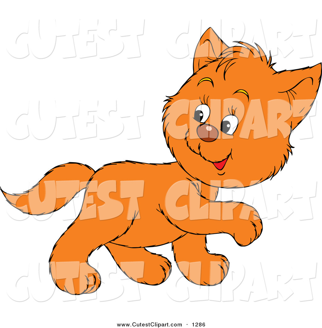 Vector Clip Art of a Cute Orange Kitty Walking to the Right.
