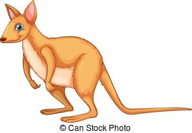 Wallaby Clipart and Stock Illustrations. 760 Wallaby vector EPS.