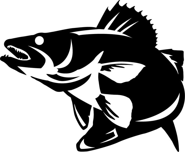 Walleye SVG