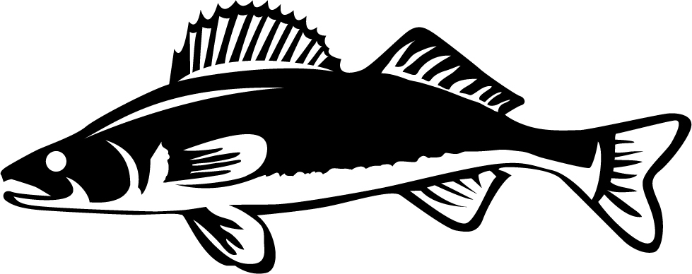 Download Walleye clipart 20 free Cliparts | Download images on ...